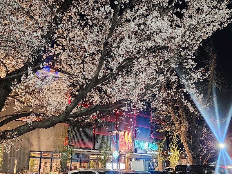 ムッシュ腰痛さんの温泉バルコニー キング&クイーンのサ活写真