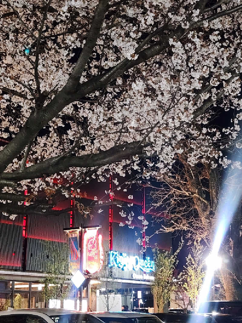 ムッシュ腰痛さんの温泉バルコニー キング&クイーンのサ活写真