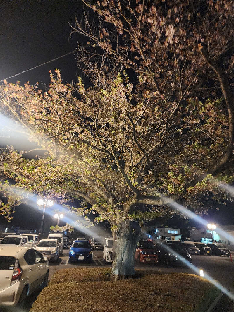 ムッシュ腰痛さんの野天風呂 蔵の湯 東松山店のサ活写真