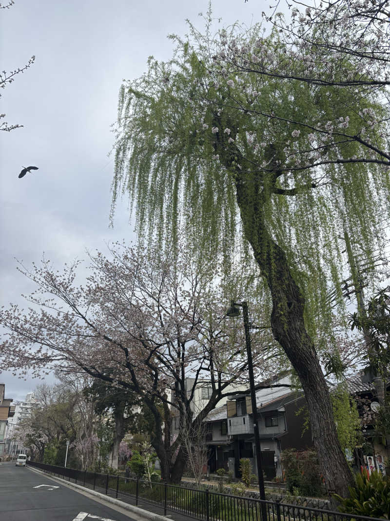 タカこやまさんのサウナの梅湯のサ活写真