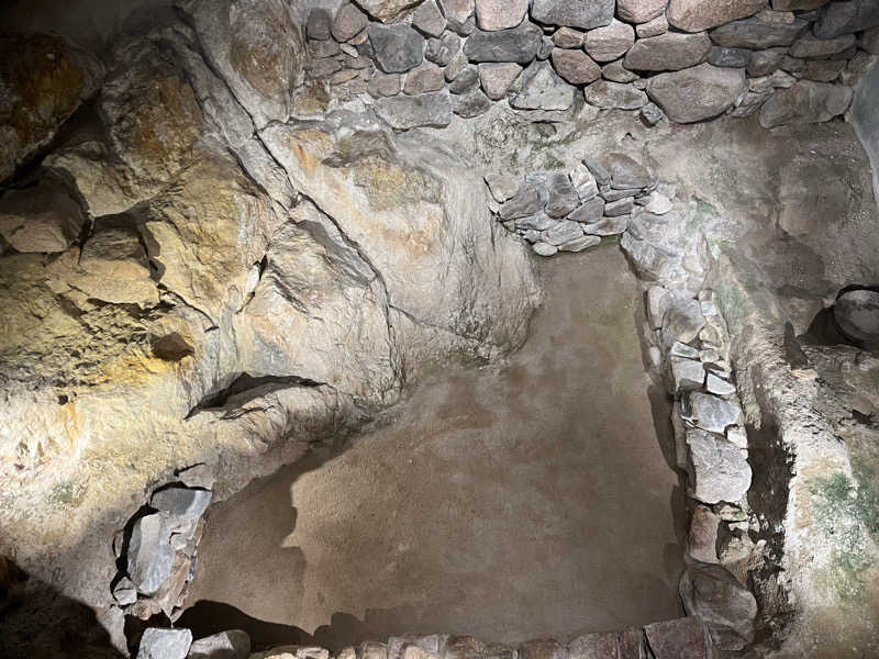 しょうちゃさんのThe Grand Resort Princes Arimaのサ活写真