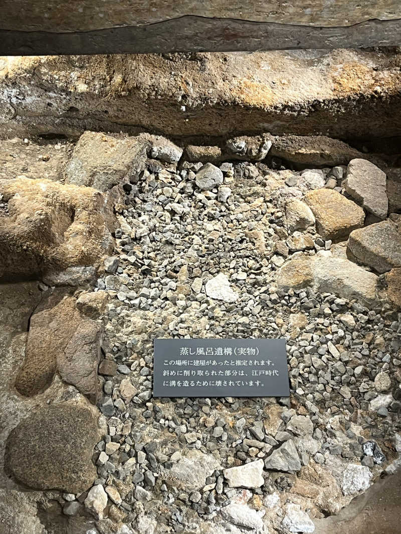 しょうちゃさんのThe Grand Resort Princes Arimaのサ活写真