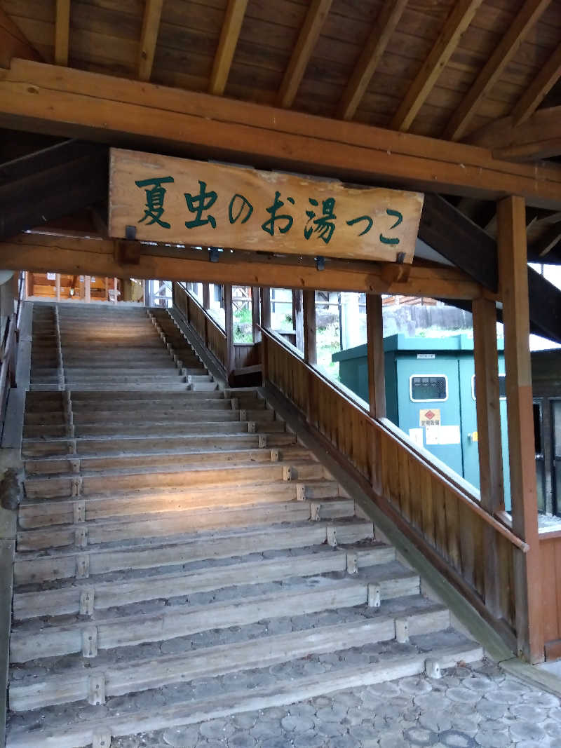 藤原 慎さんの夏虫のお湯っこのサ活写真