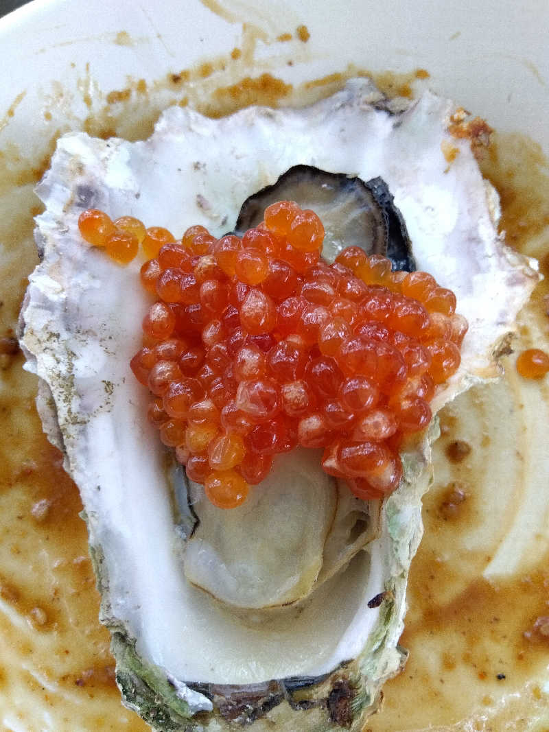 藤原 慎さんのthe campus～トロイカの森～のサ活写真