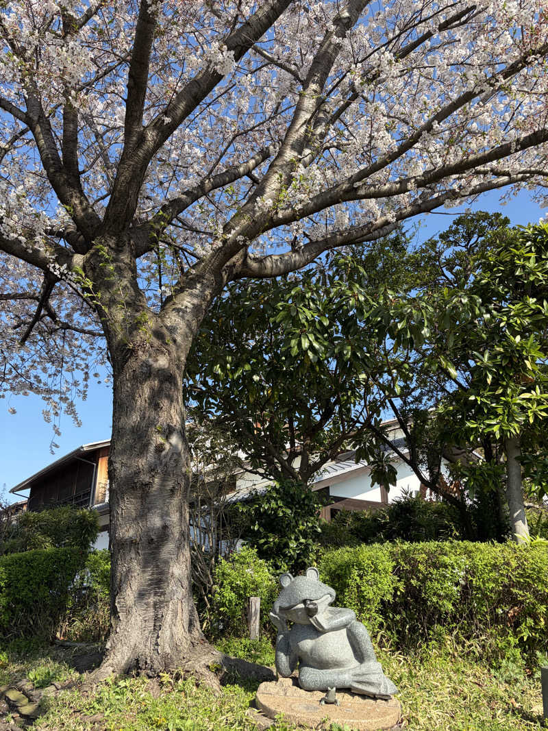 ゆうちゃんさんの天然温泉 真名井の湯 大井店のサ活写真
