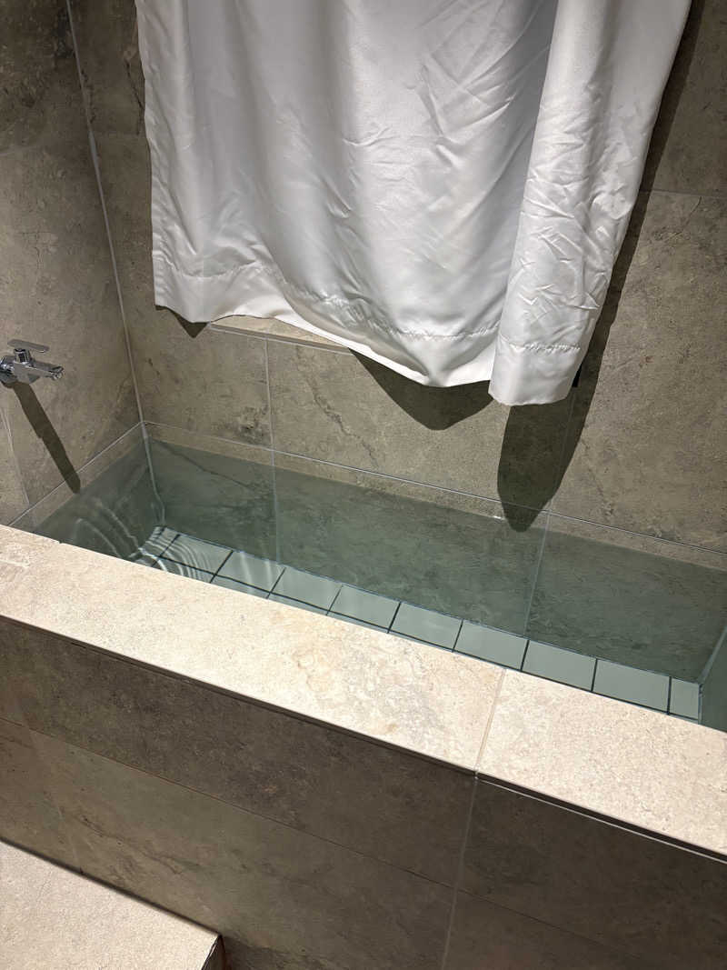 サウナどろぼうさんのSAUNATIGERのサ活写真