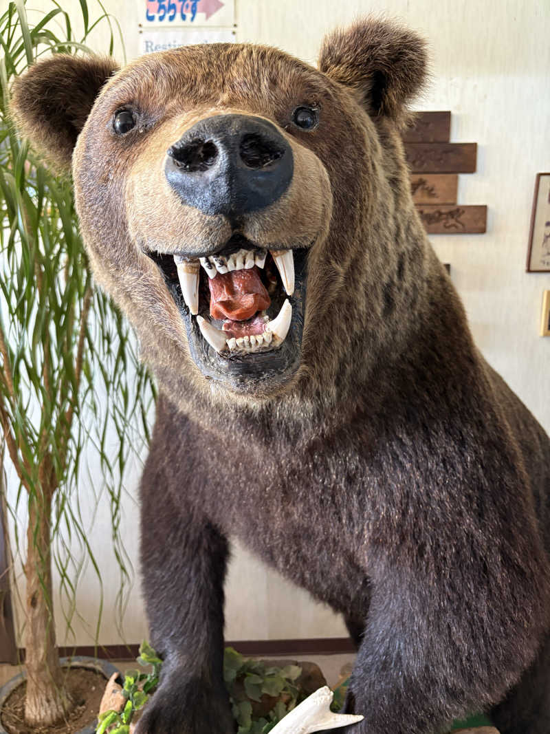 サウナどろぼうさんの十勝岳温泉 凌雲閣のサ活写真