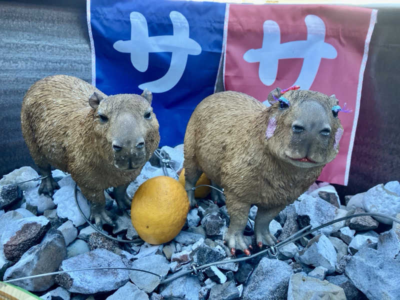 トクーさんの富士山天然水SPA サウナ鷹の湯のサ活写真