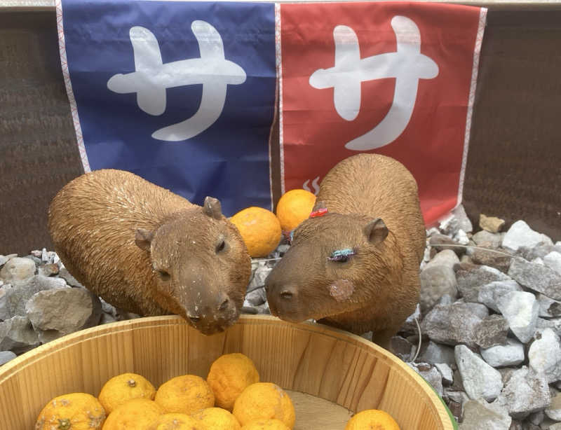 トクーさんの富士山天然水SPA サウナ鷹の湯のサ活写真