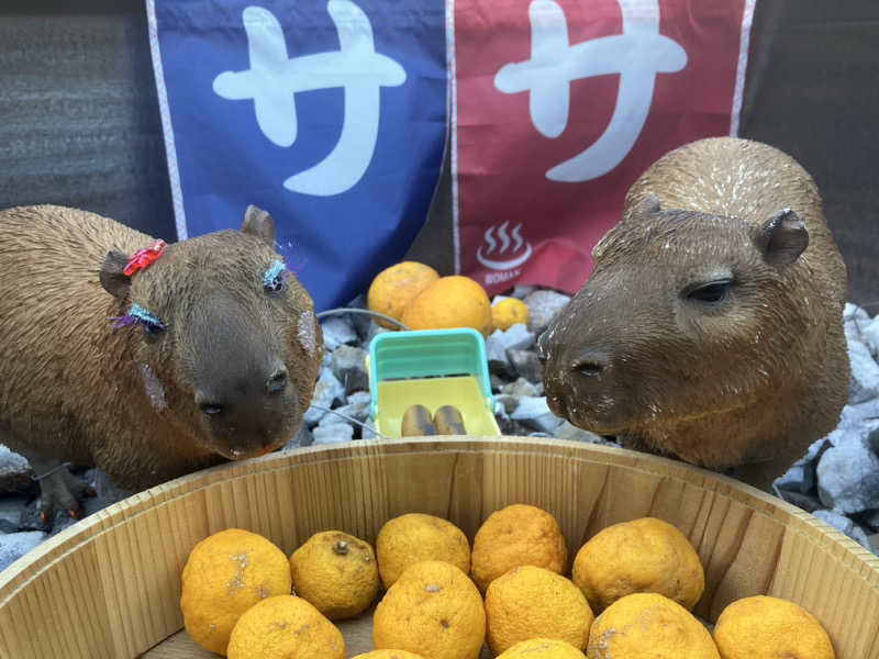 トクーさんの富士山天然水SPA サウナ鷹の湯のサ活写真