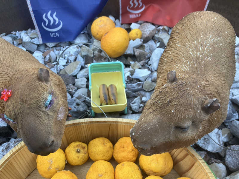 トクーさんの富士山天然水SPA サウナ鷹の湯のサ活写真
