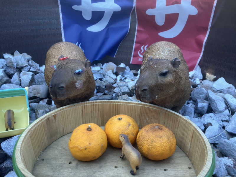 トクーさんの富士山天然水SPA サウナ鷹の湯のサ活写真