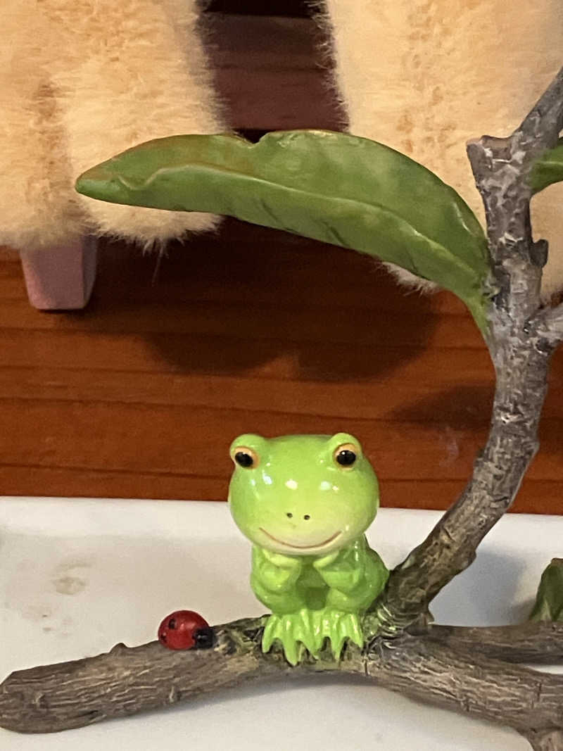 トクーさんのかじかの湯のサ活写真