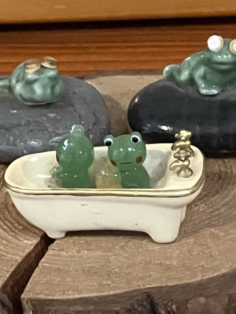 トクーさんのかじかの湯のサ活写真