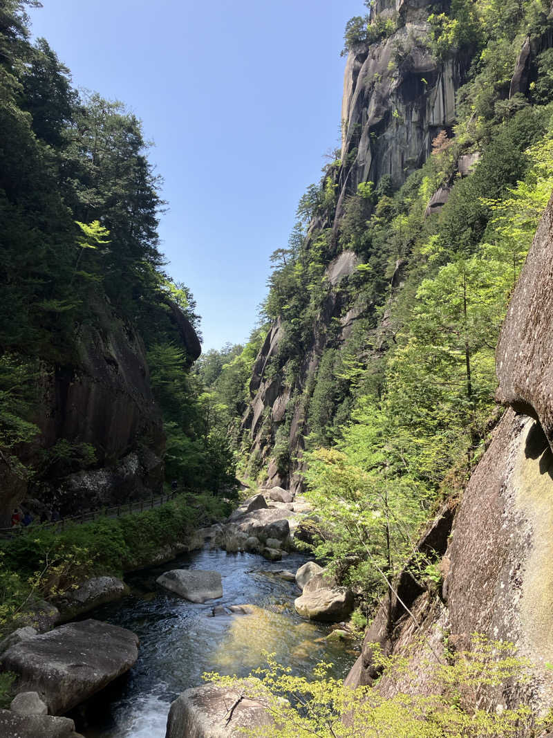 トクーさんの桜湯のサ活写真