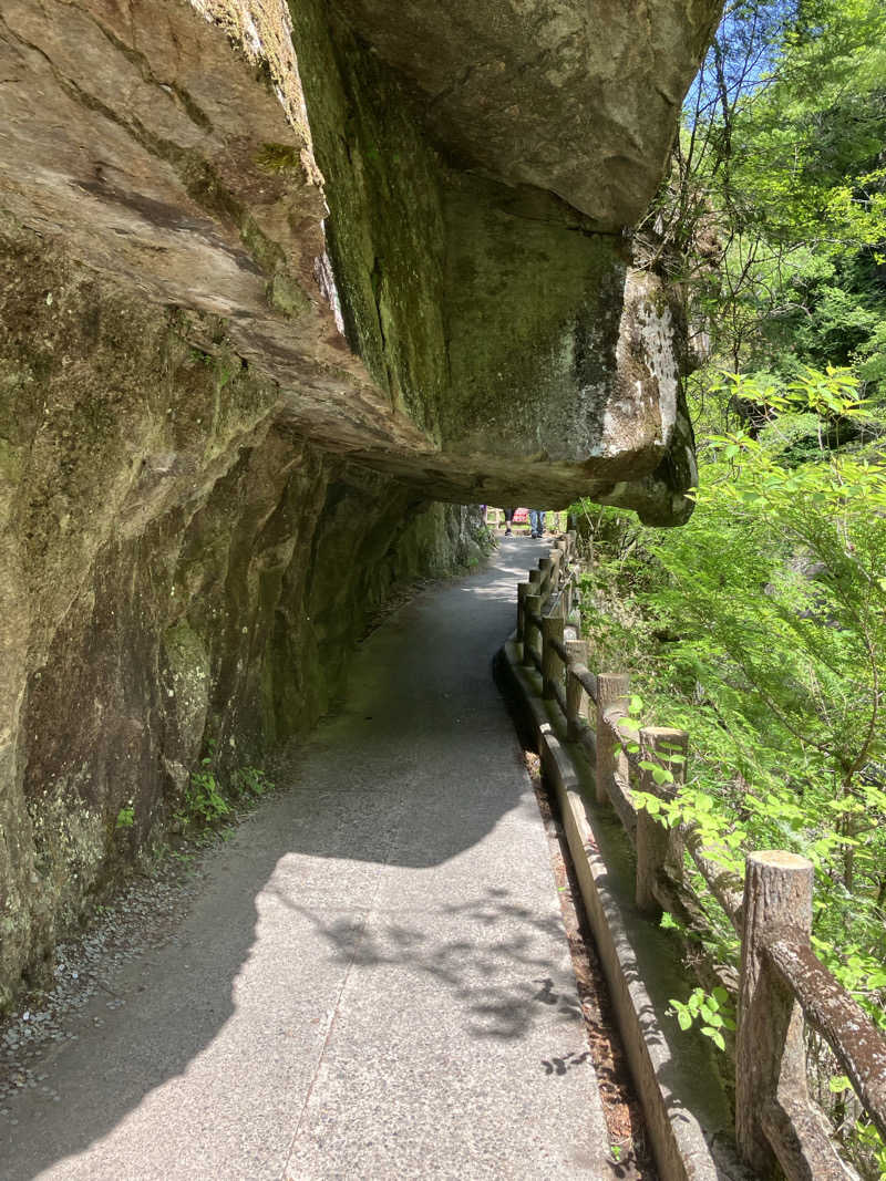 トクーさんの桜湯のサ活写真