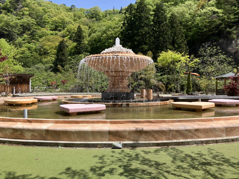 トクーさんの桜湯のサ活写真