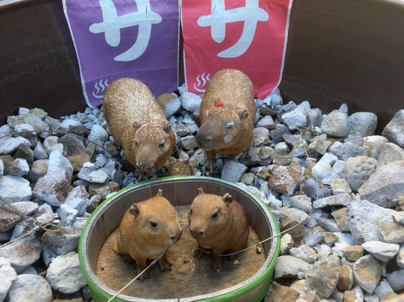 トクーさんの富士山天然水SPA サウナ鷹の湯のサ活写真