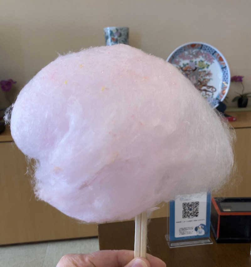 トクーさんの駿河の湯 坂口屋のサ活写真