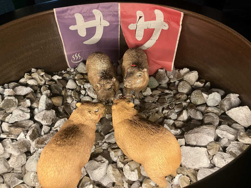 トクーさんの富士山天然水SPA サウナ鷹の湯のサ活写真