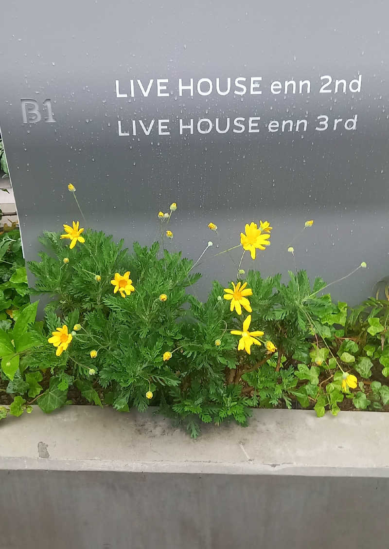 Dk仙台さんの駅前人工温泉 とぽす 仙台駅西口のサ活写真