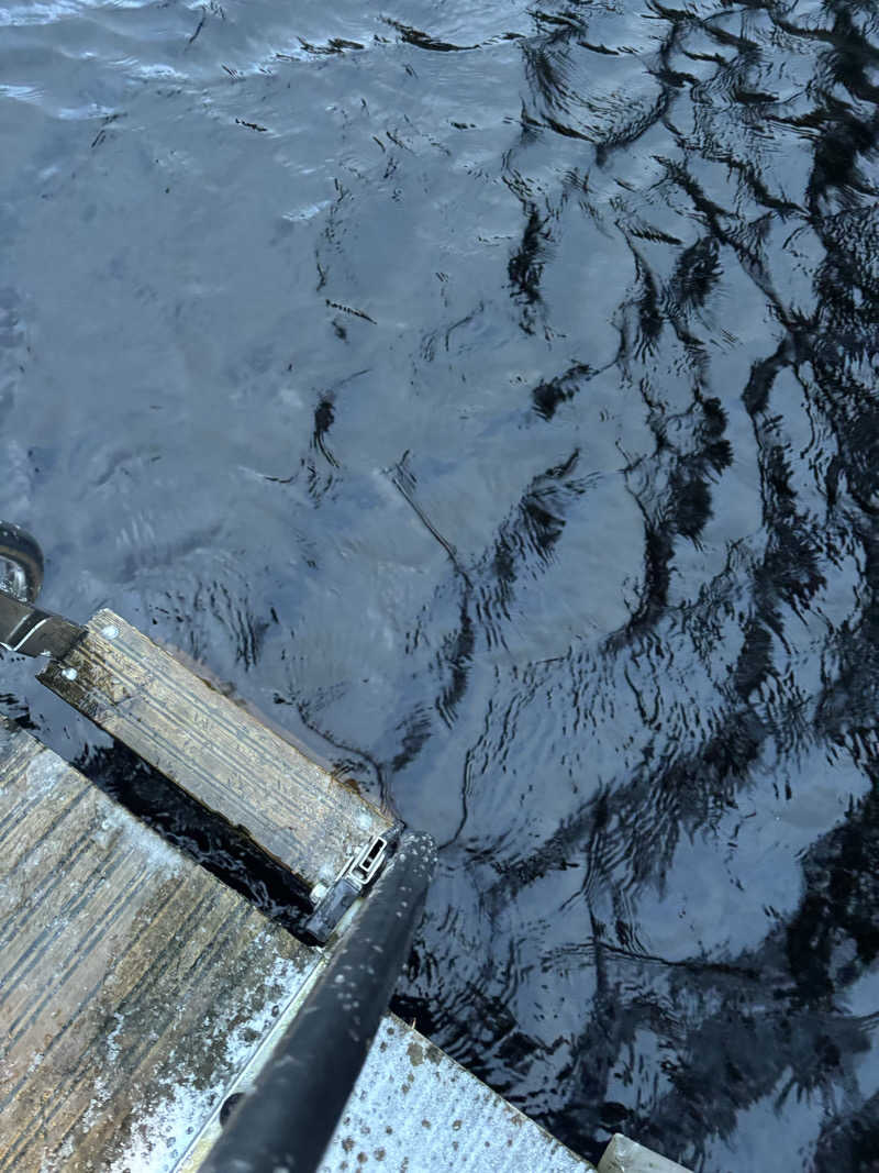 mamiさんのGreen Window Oyのサ活写真