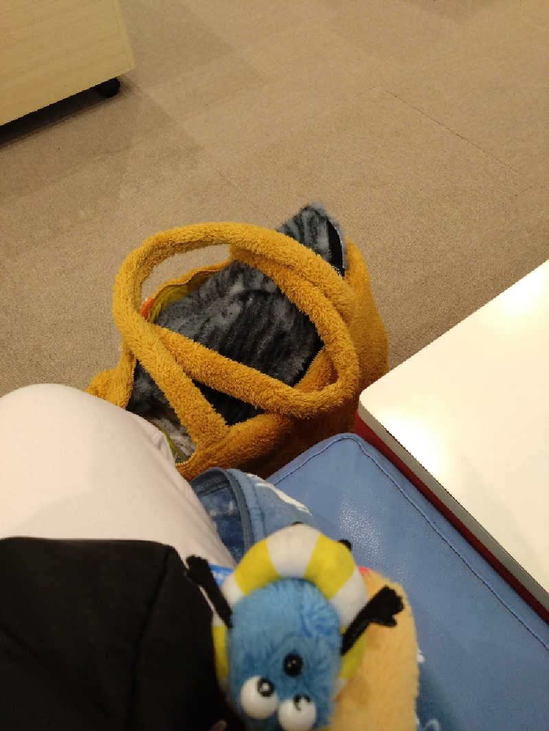 なっちゃんさんのやまなみの湯のサ活写真