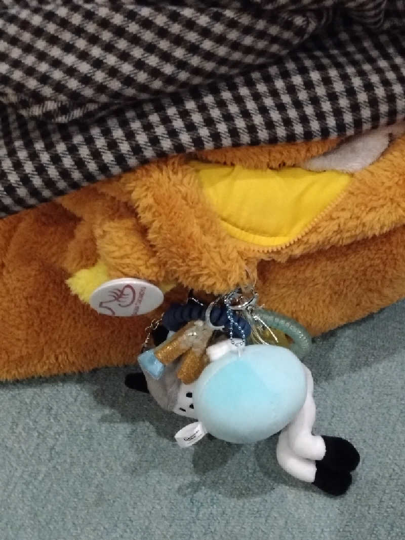 なっちゃんさんのやまなみの湯のサ活写真