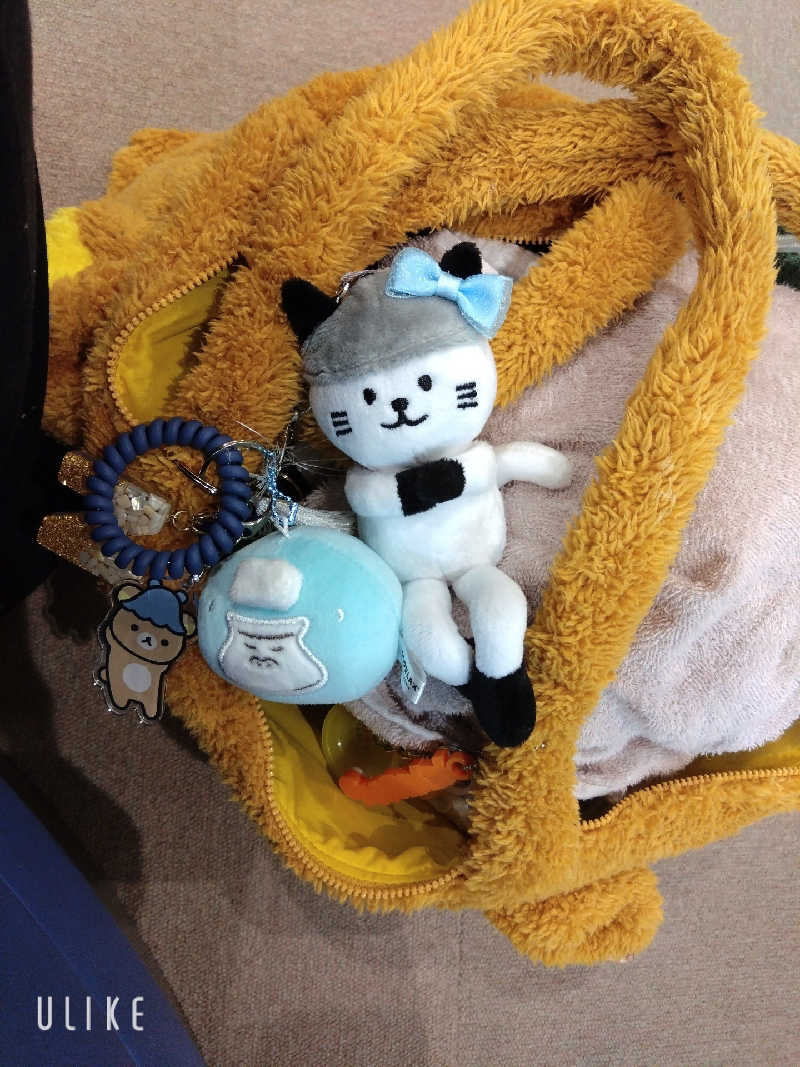 なっちゃんさんのやまなみの湯のサ活写真