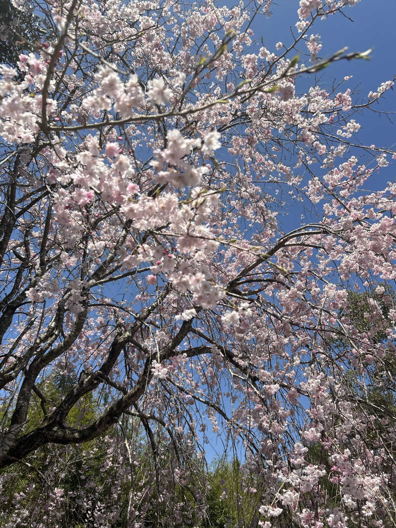 なぁちゃんさんのすきむらんど温泉 かじかの湯のサ活写真