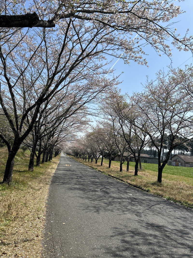 なぁちゃんさんのすきむらんど温泉 かじかの湯のサ活写真