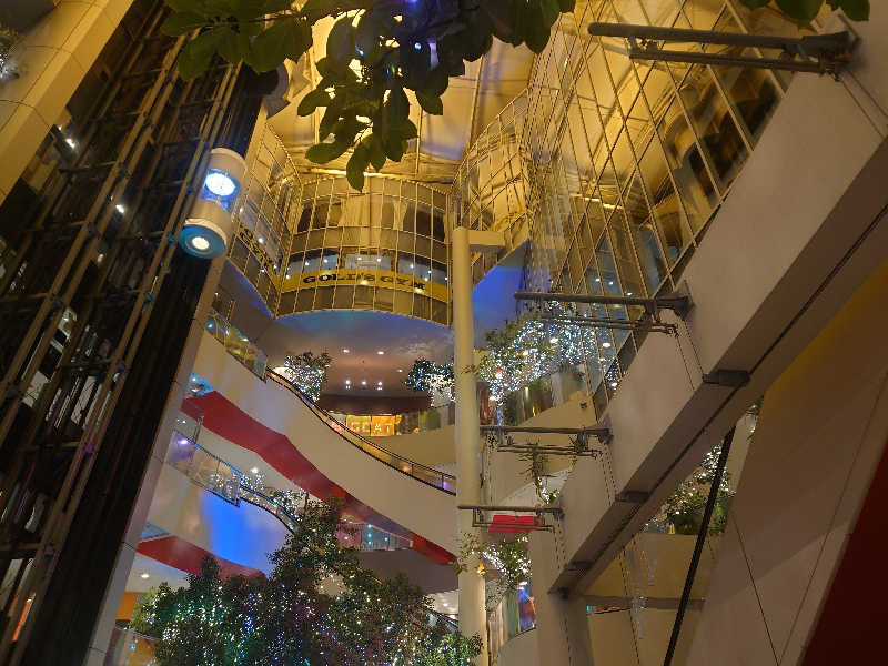 バクシンオーさんのゴールドジム心斎橋大阪のサ活写真