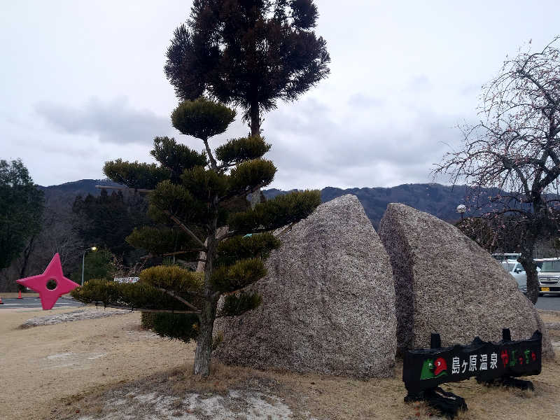 バクシンオーさんの島ヶ原温泉やぶっちゃのサ活写真