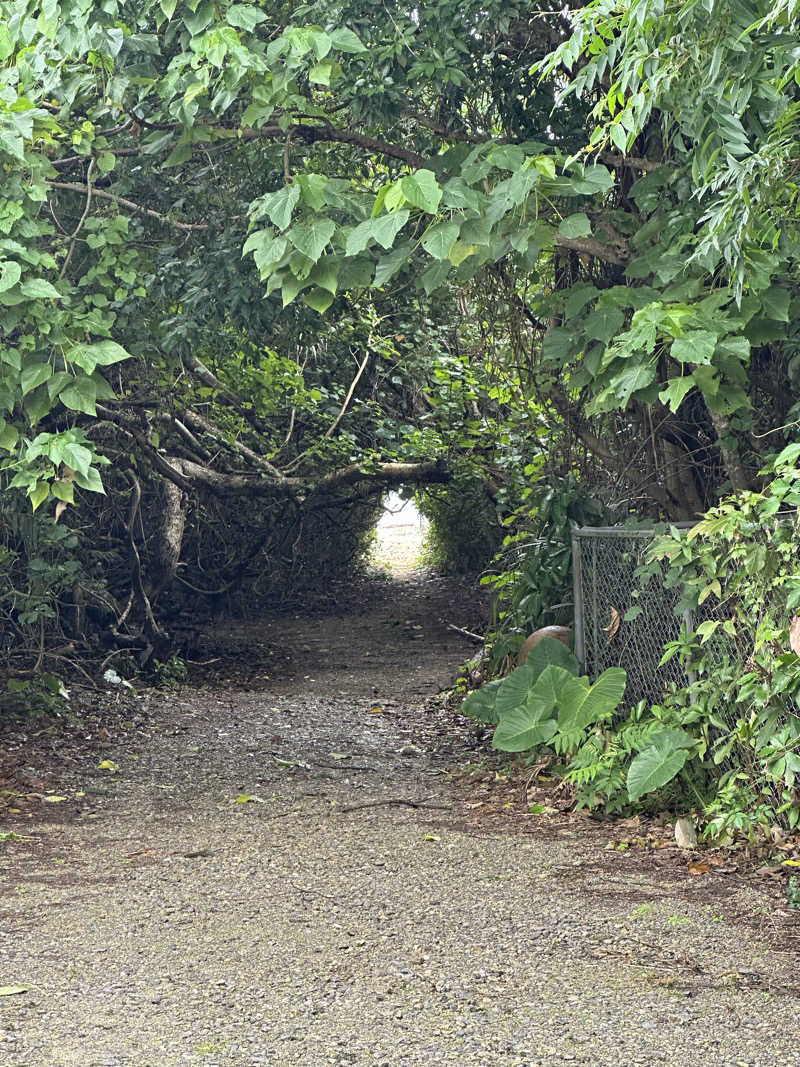 ヤマちゃんさんのグランピングリゾート ヨーカブシのサ活写真