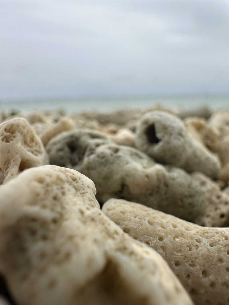 ヤマちゃんさんのグランピングリゾート ヨーカブシのサ活写真