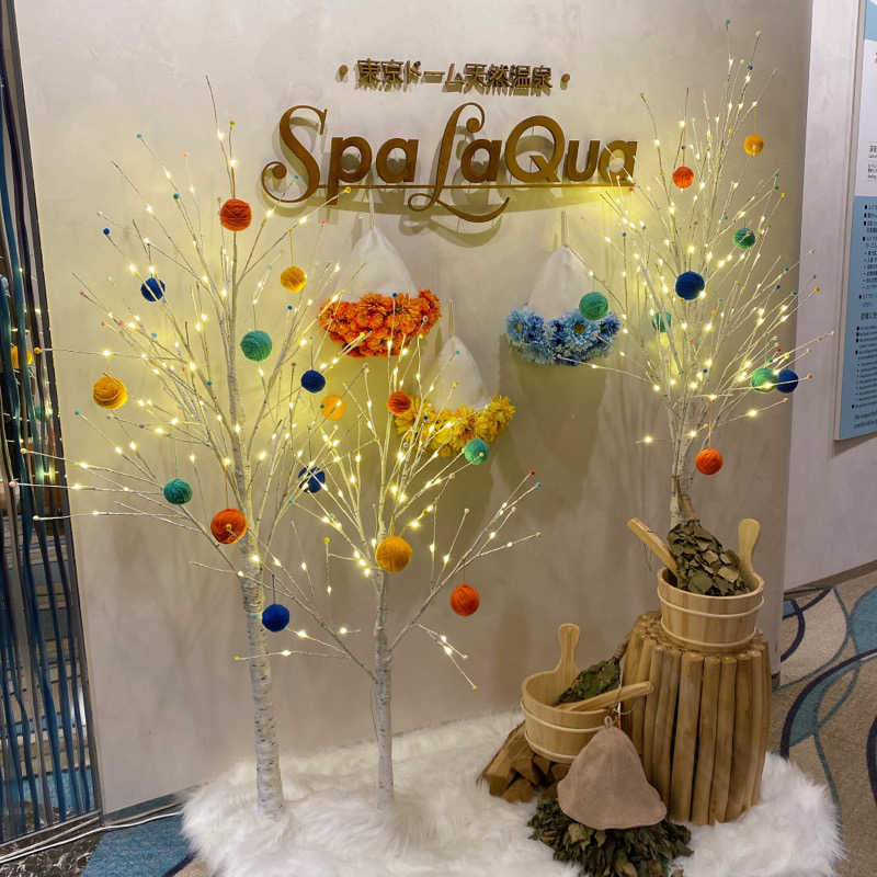 くまさうなさんの東京ドーム天然温泉 Spa LaQua(スパ ラクーア)のサ活写真