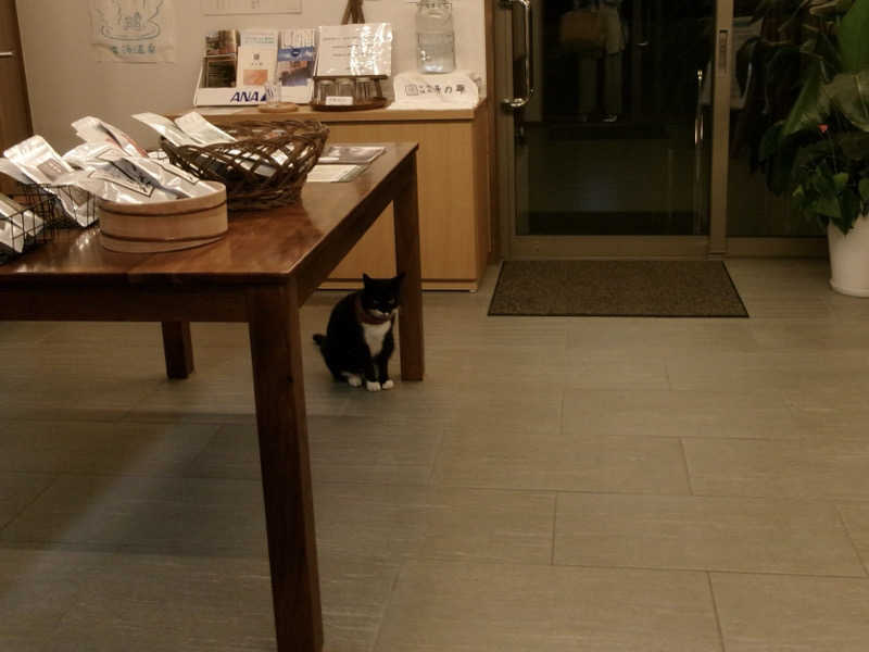 m i h a r u .さんの古湯貸切温泉 湯の華のサ活写真