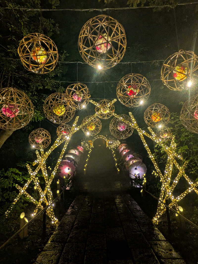 yurimikiさんのよみうりランド眺望温泉 花景の湯のサ活写真