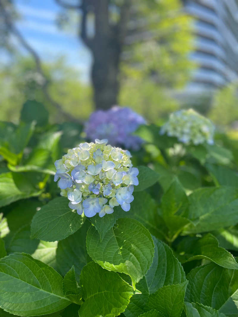 syunshunさんのTOTOPA 都立明治公園店のサ活写真