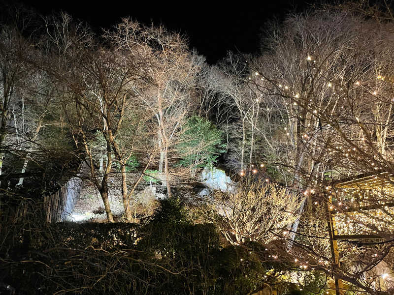 ツーフーサウナ〜さんの天然温泉 三峰のサ活写真