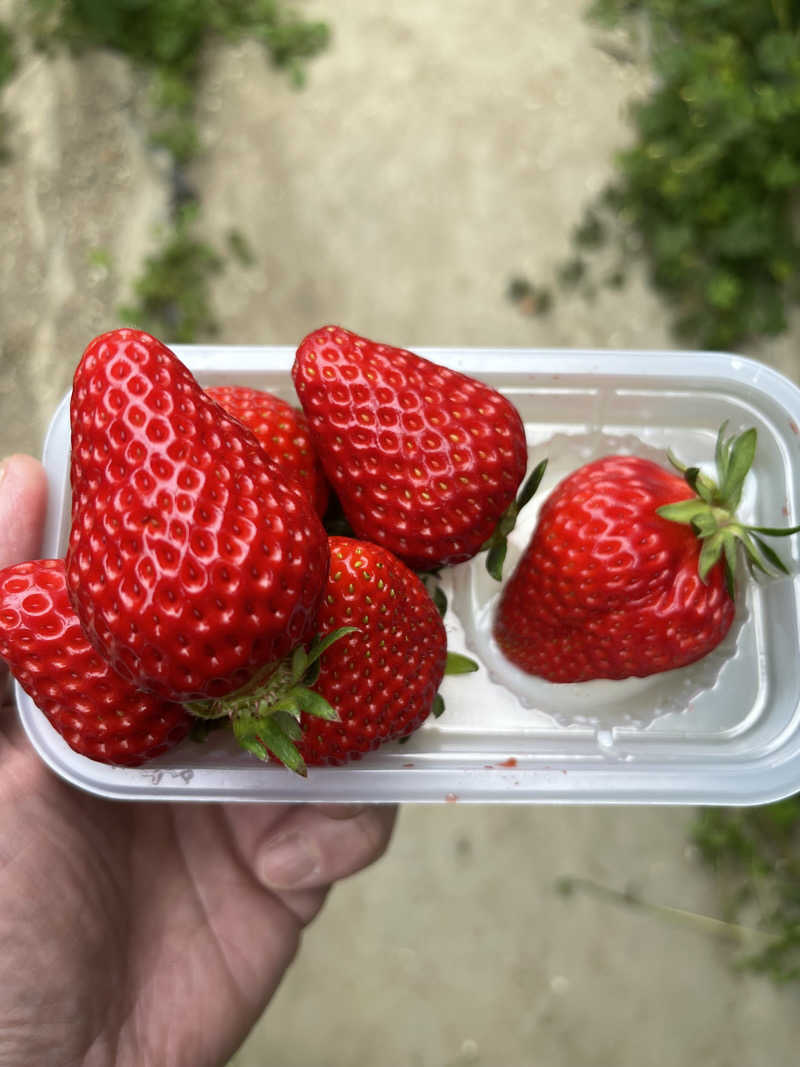 ツーフーサウナ〜さんの大泉寺温泉 福の湯のサ活写真