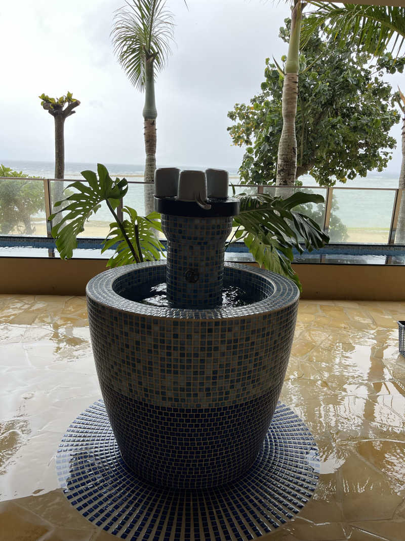 レイデオロさんのThida saunaのサ活写真