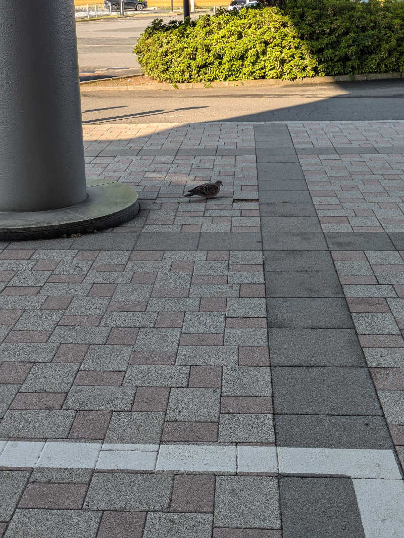 スネーク2号さんの花湯スカイテルメリゾートのサ活写真