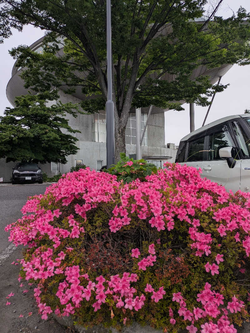 スネーク2号さんの花湯スカイテルメリゾートのサ活写真