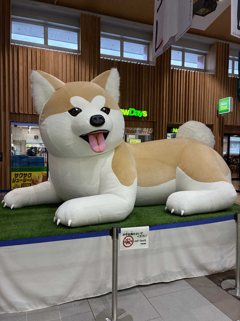 凪ちゃんさんの中通温泉こまちの湯 ドーミーイン秋田のサ活写真