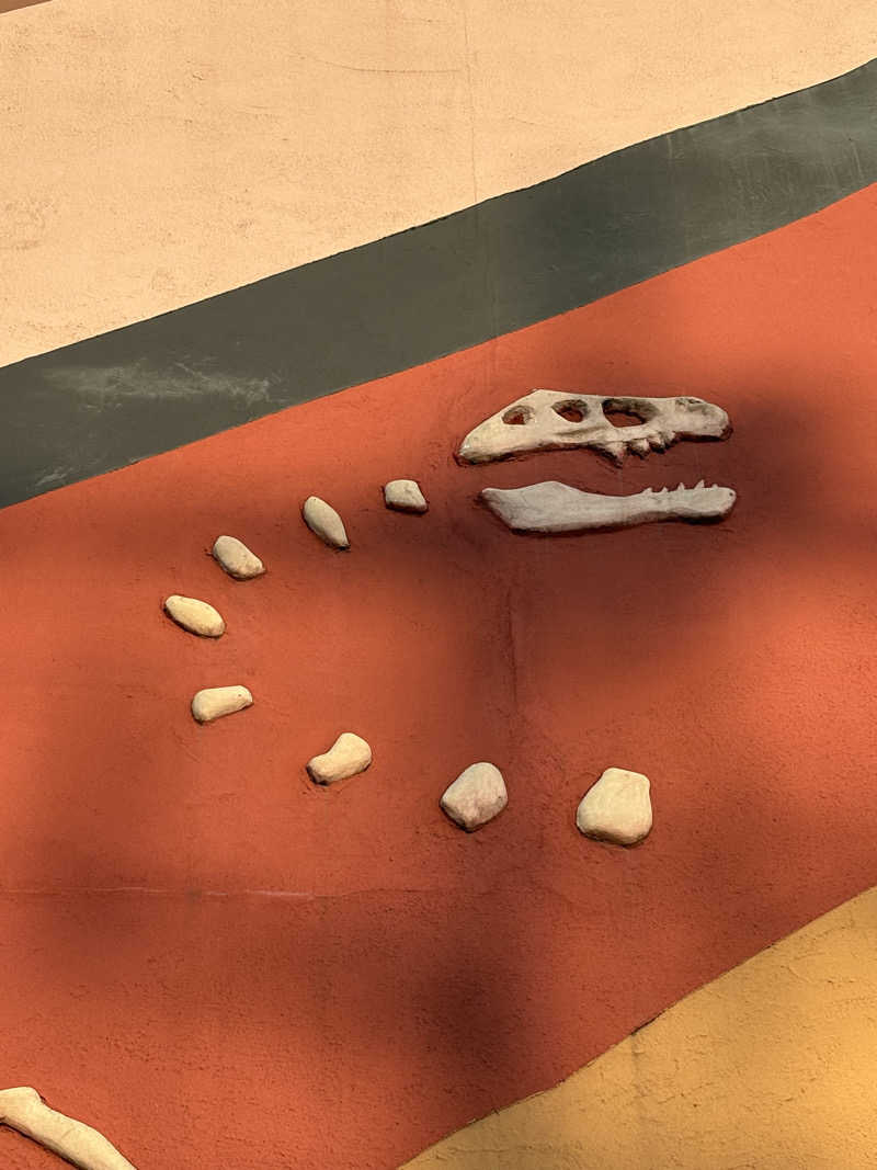 ヒイロさんの東京天然温泉 古代の湯のサ活写真