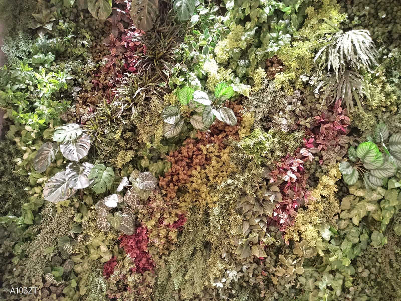 いずみんさんのうめきた温泉 蓮 Wellbeing Parkのサ活写真