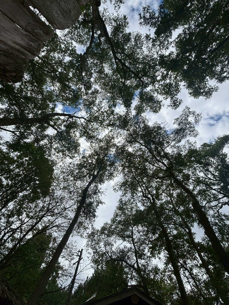 ゆーさくさんのThe Saunaのサ活写真