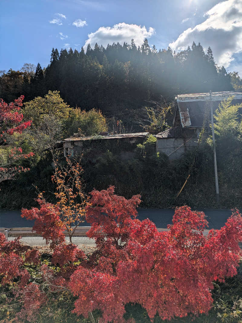 ゆーさくさんのぽかぽかランド美麻のサ活写真