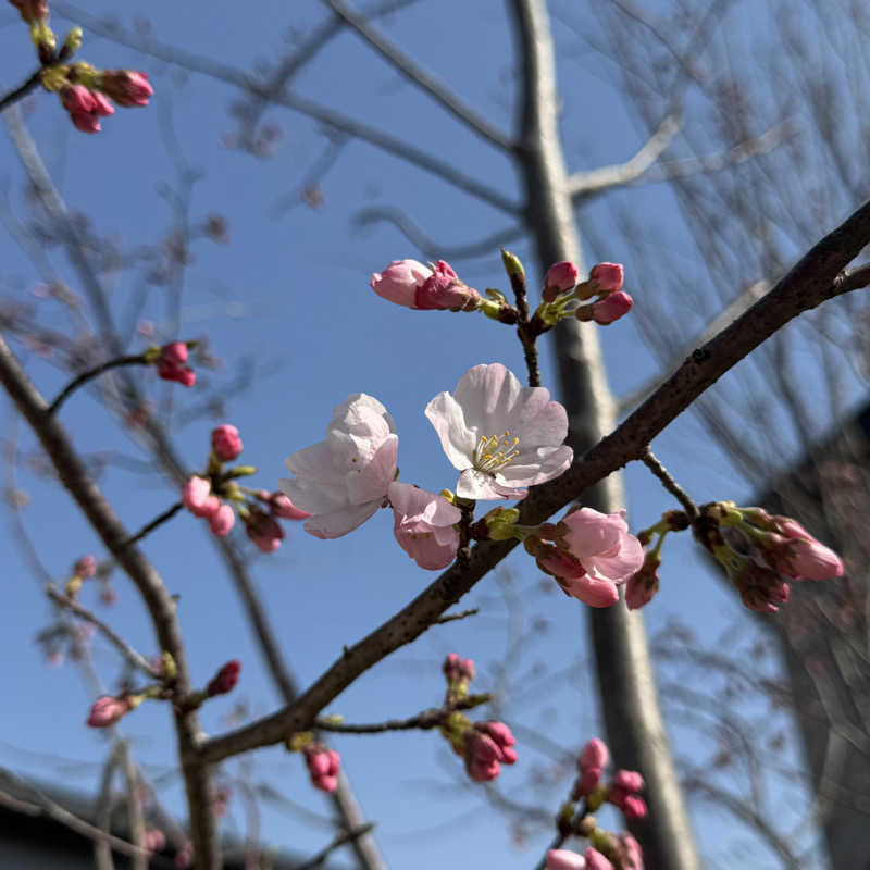 Masaloyly7498さんの佐賀の湯処 KOMOREBIのサ活写真